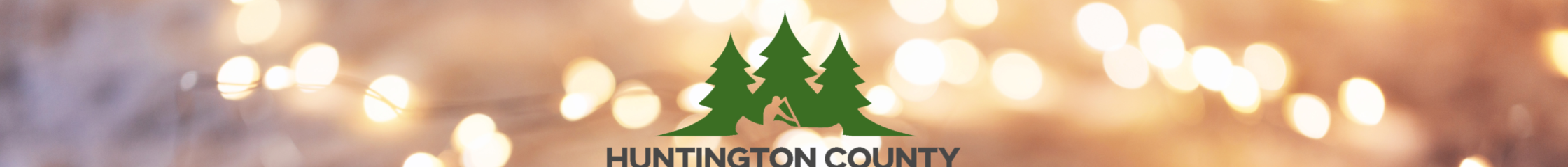 Winter lights banner logo