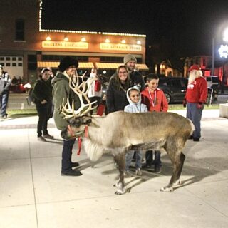 Festival of trees Reindeer24