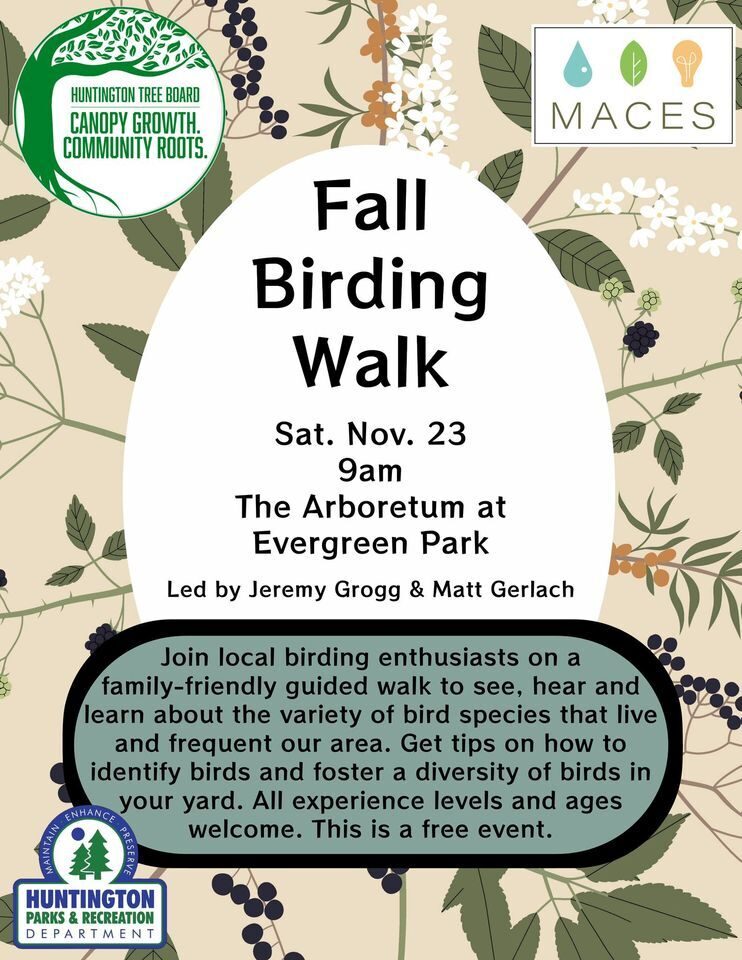Fall Birding2024