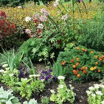 Historic Forks garden