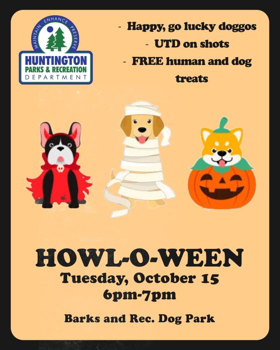 Howl o ween park dept24