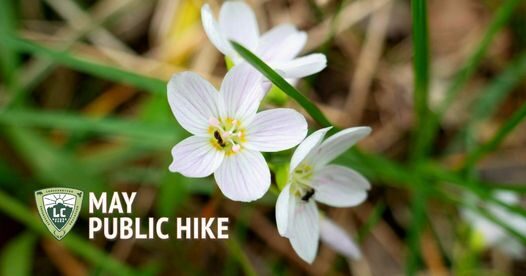 LC Nature Park May public hike24