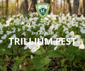 TRILLIUMFEST1