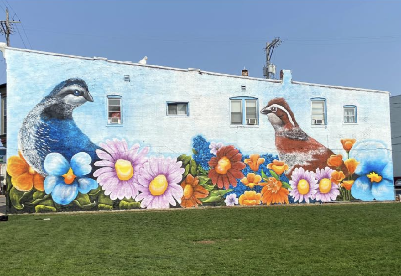 Quail Mural