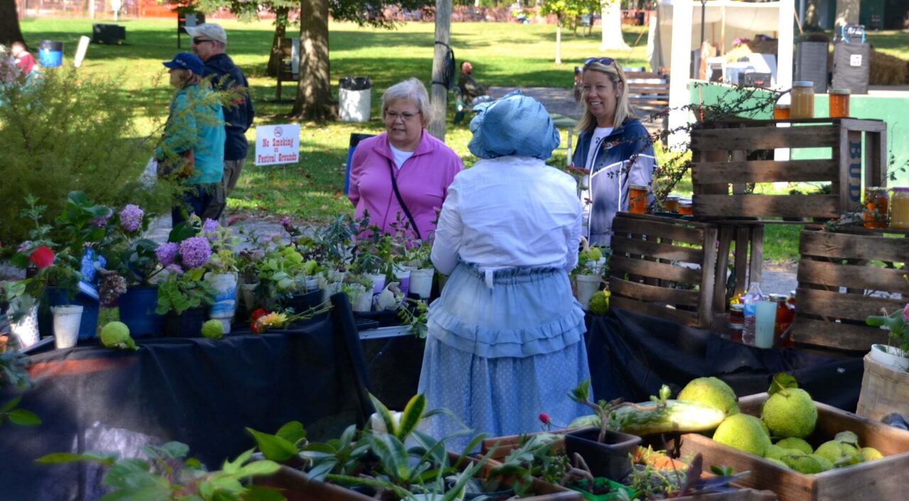 243116077 4557317767652048 8138853893462104885 n