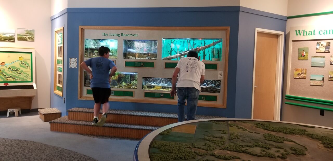 Interpretive Center live animals display INDNR