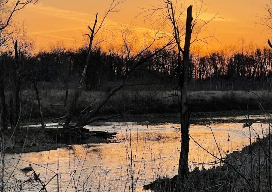 Screenshot 20260219 220245 Chrome