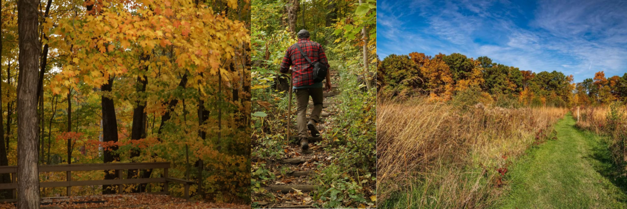 Fall trails