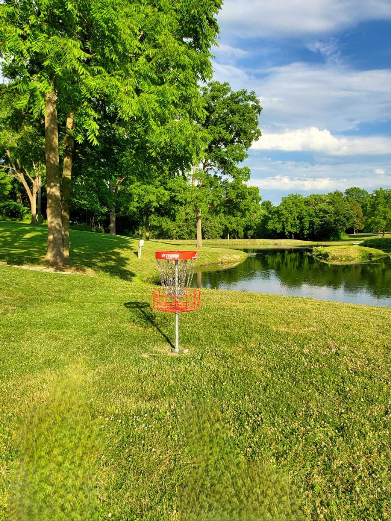 Memorial park disc Copy
