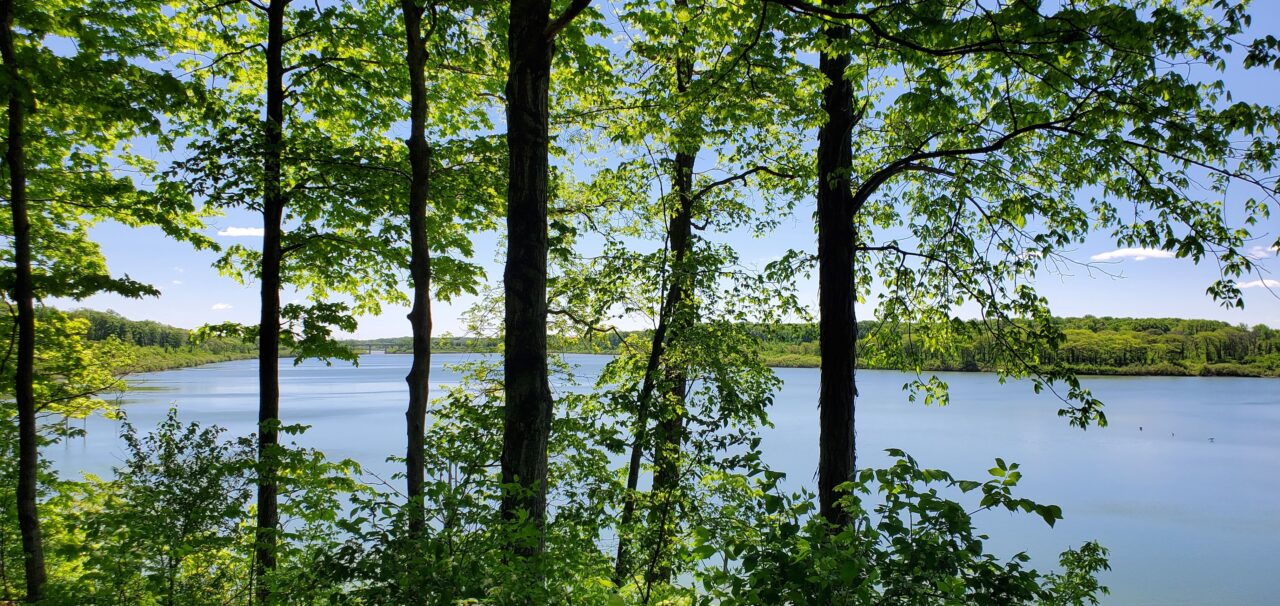 View from campground