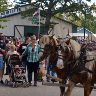 12065547 1008945489155978 47475038494488542 n