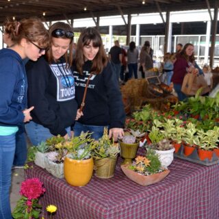 242840035 4557318964318595 3836359043541274939 n