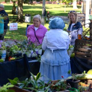 243116077 4557317767652048 8138853893462104885 n