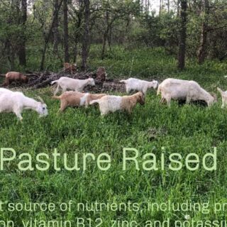 325702479 564664532340765 5317995362394247139 n