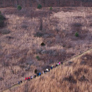 4k Sequence 00 00 09 07 Still007