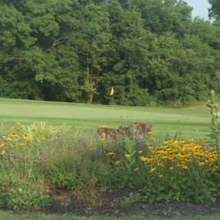 97a7278cf1573016b278b619c286912e