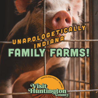 Family Farms1coverpage2