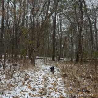 Screenshot 20260219 195901 Facebook