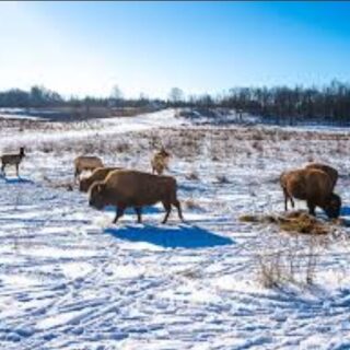 Screenshot 20260219 200507 Chrome