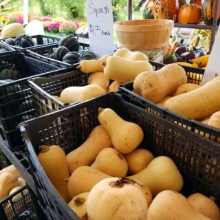 Squash