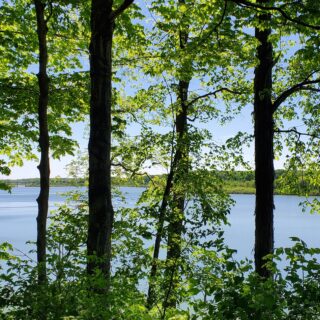 View from campground