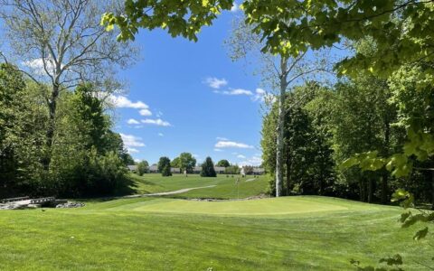 2024 Dogwood Glen