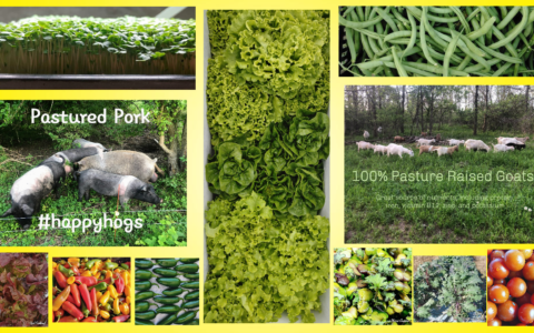 Garwood Farms collage