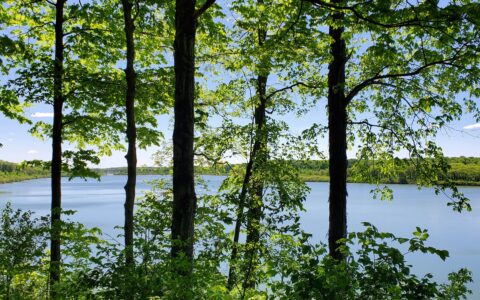 View from campground