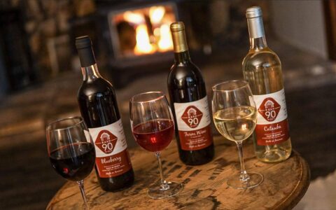 Dash 90 Wines