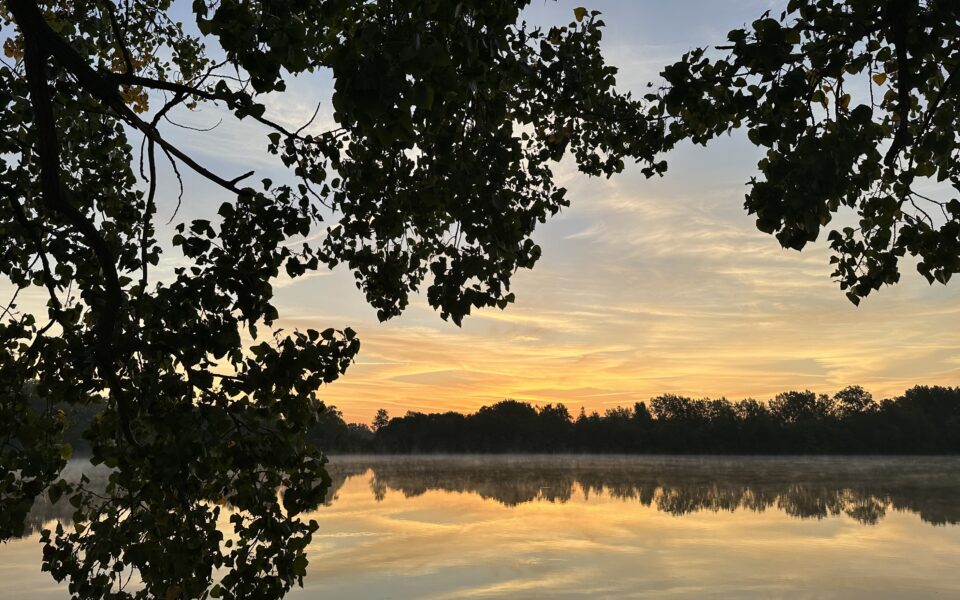 Lake Clare