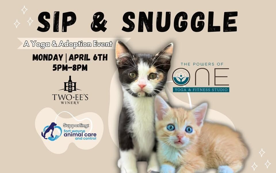 630256390 1201391022209534 526470305431879697 n