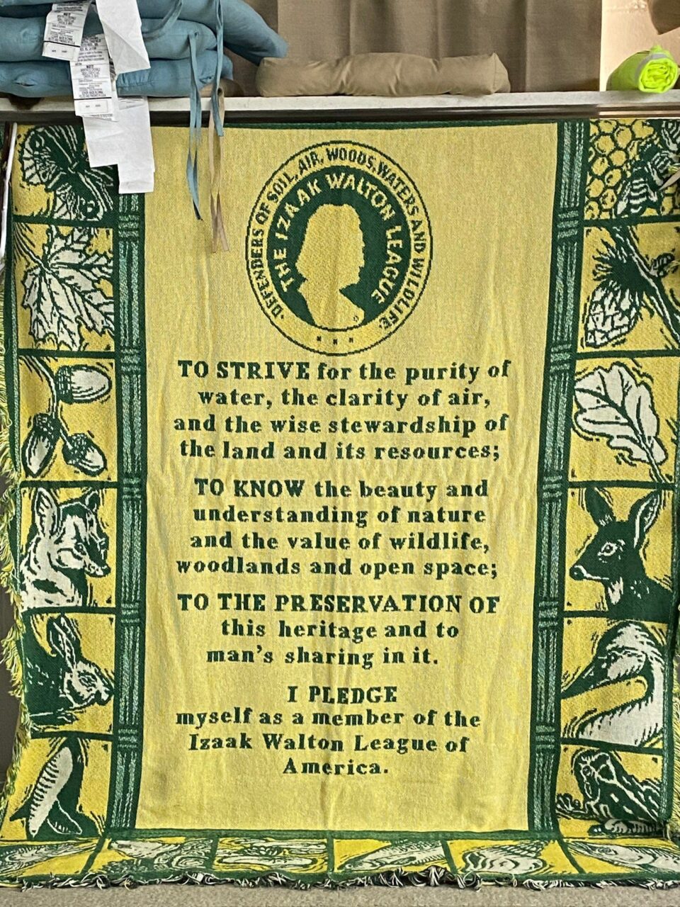 597236450 1173668414958377 149626851061895076 n