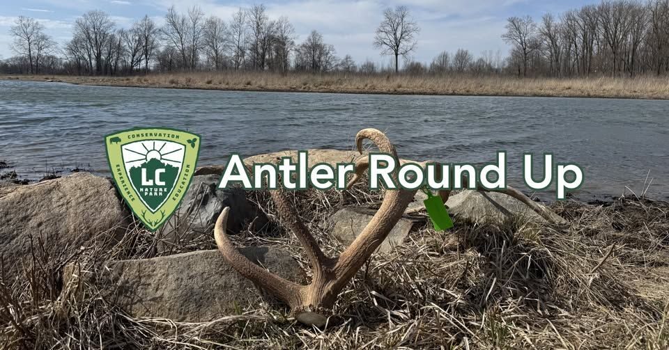 641528112 1232713352380211 3512113725963159935 n