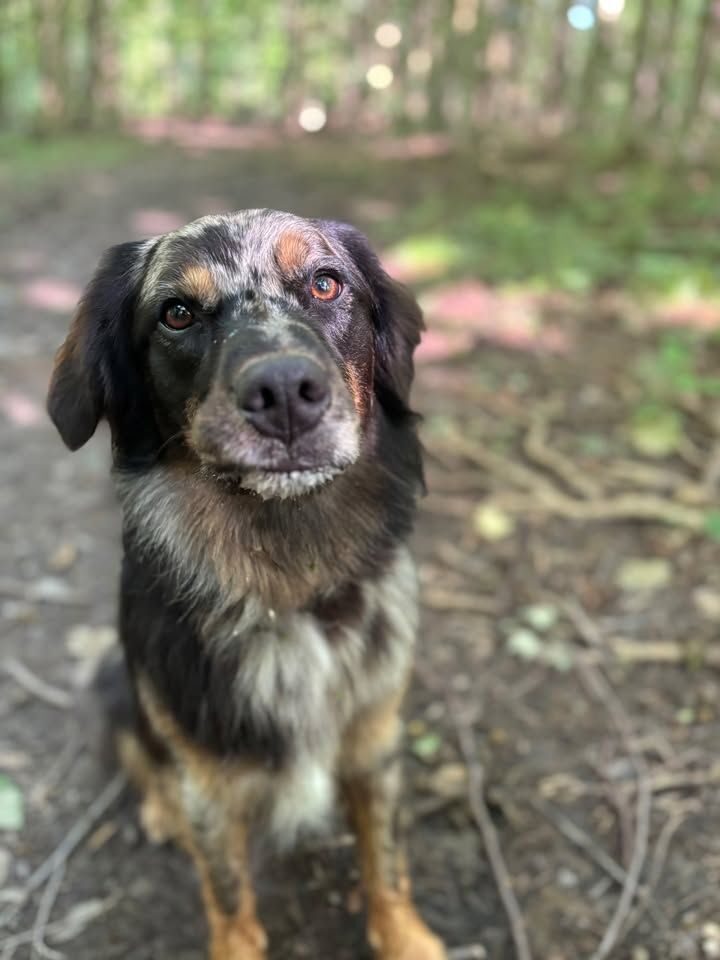 644332338 1366853125485960 8631146022631064893 n