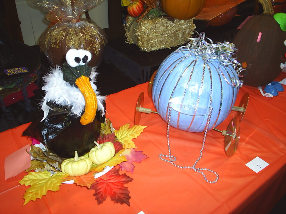 Pumpkin contest
