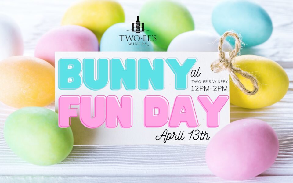 Bunny Fun