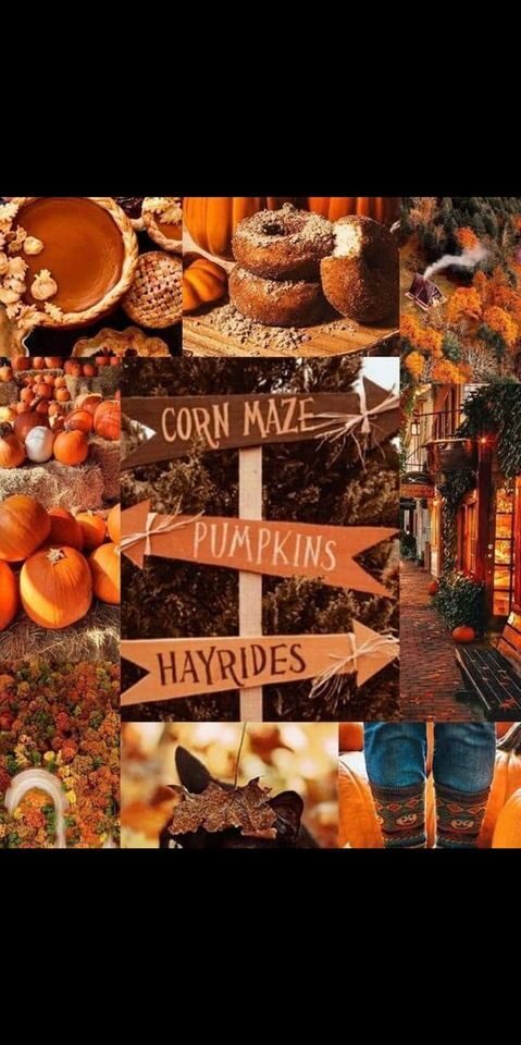 Drovertown Fall Harvest Party