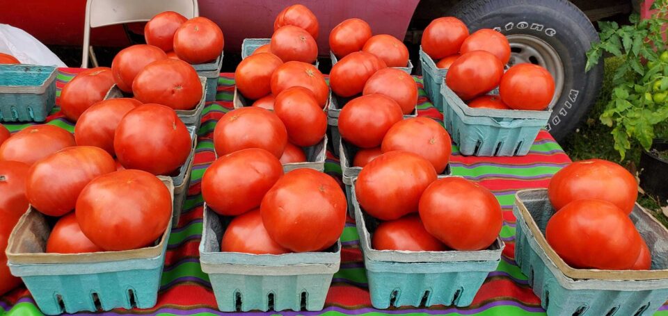 Huntington Farmers Market tomatoes
