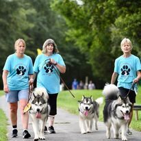 Huntington Tails Trails Festival HARTA
