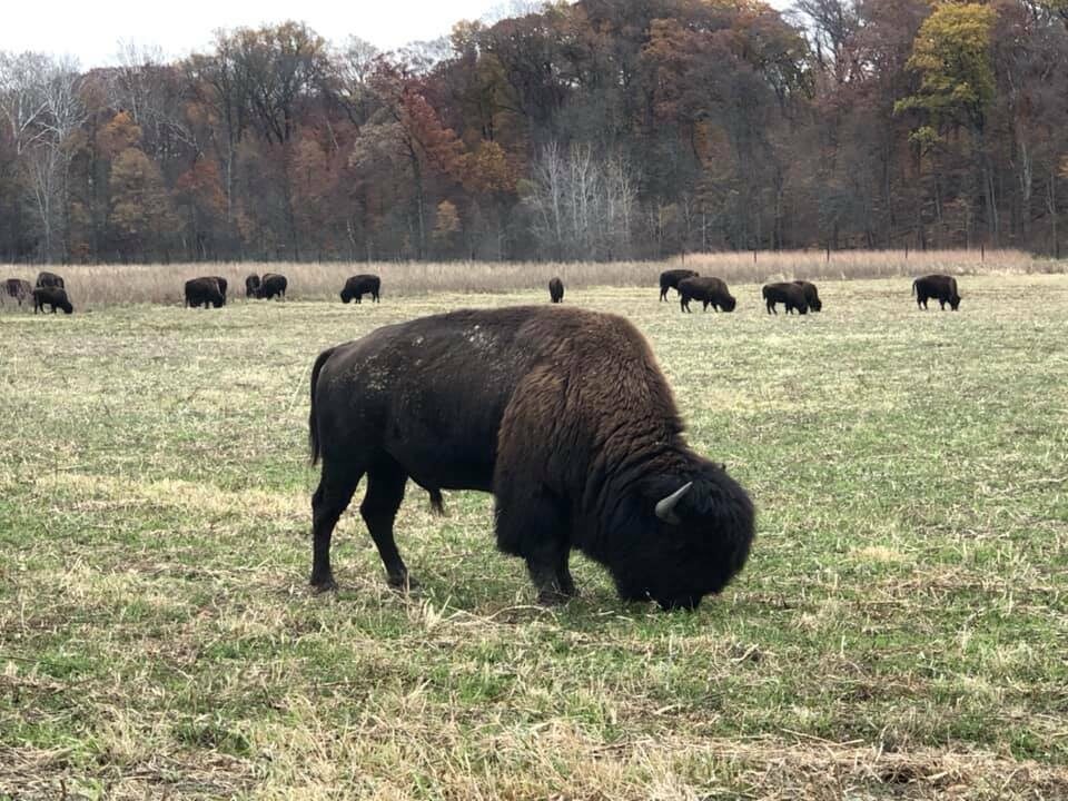 LC NATURE PARK