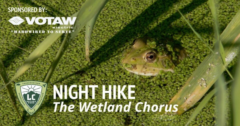 Night Hike