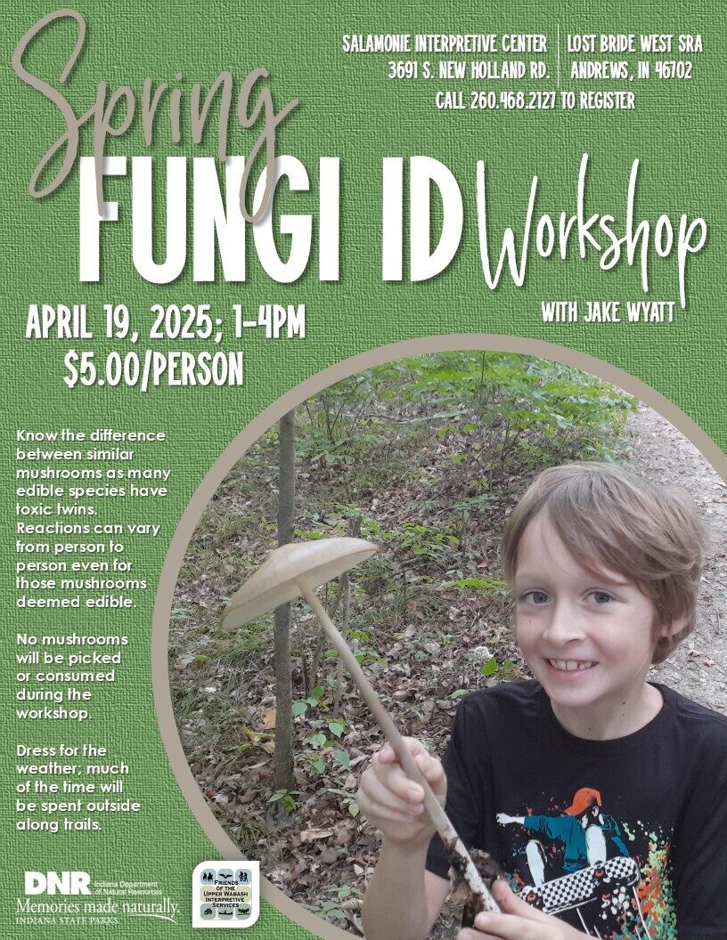 Spring Fungi