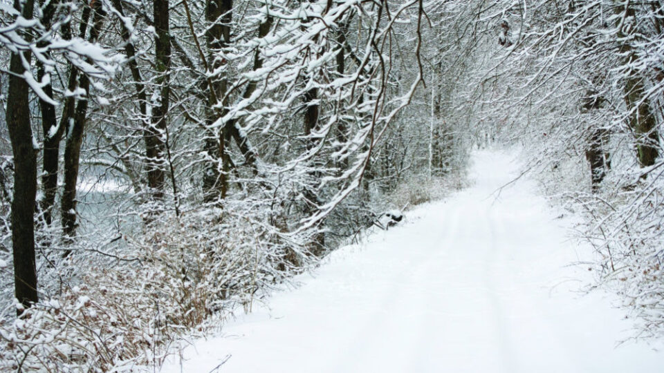 Winter Hike