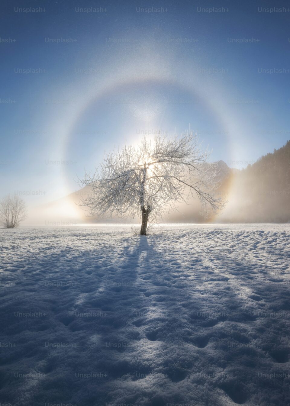 Wintersolstice2024