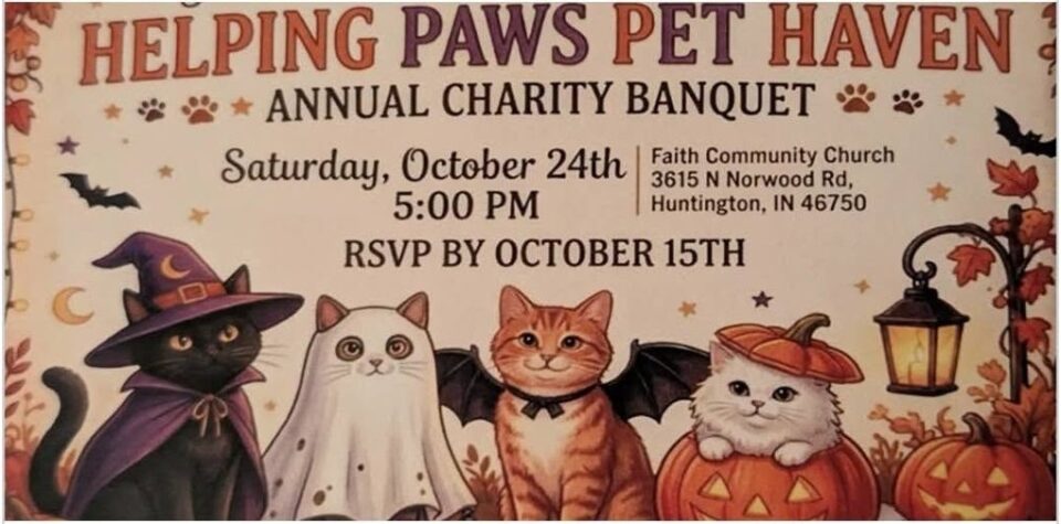 Helping paws