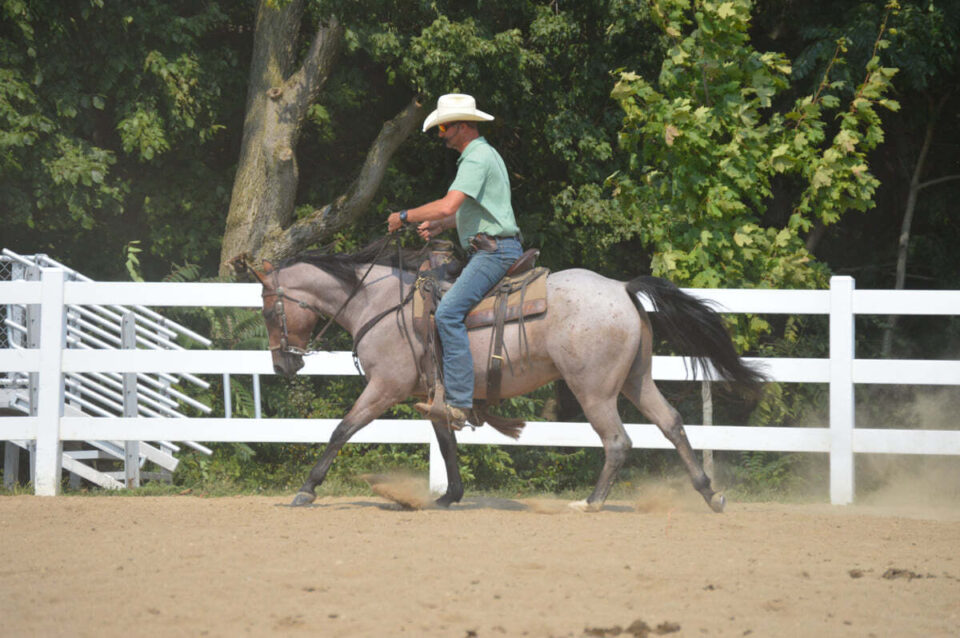 Horse racing